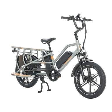 Jobobike Transer-n50 Bicicletta Elettrica Batteria 48v 15ah Bicicletta Elettrica