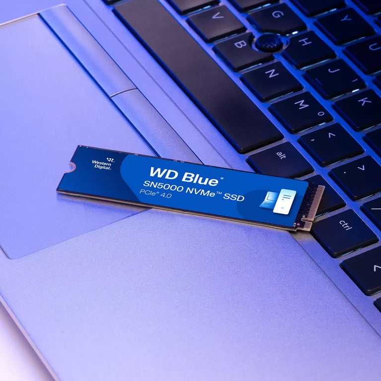 Western Digital Blue SN5000 500 Go M.2 PCI Express 4.0 NVMe 3D TLC NAND - Neuf