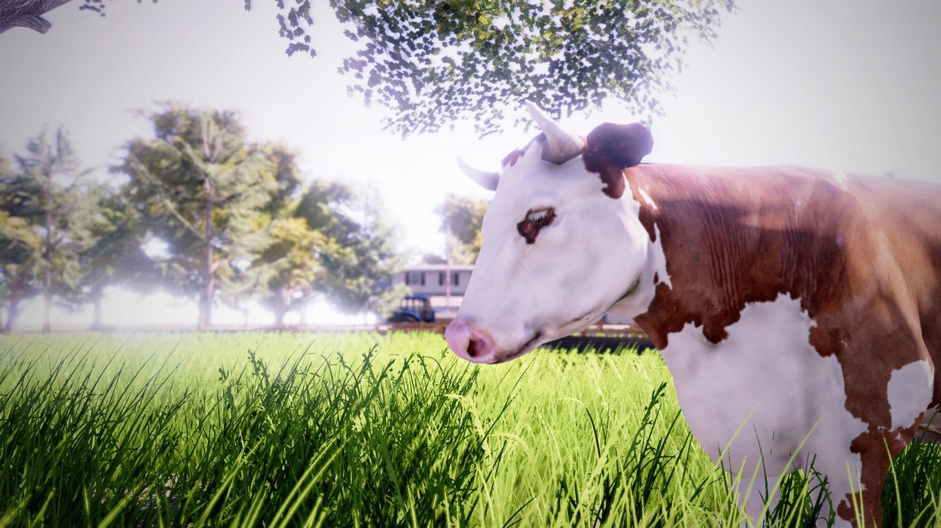 Real Farm Pc - vue 3
