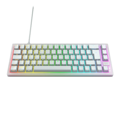 CHERRY K5V2 Compact clavier Gaming USB QWERTZ Allemand Blanc