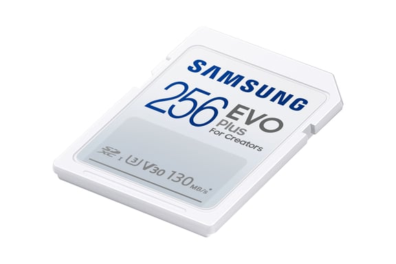 Samsung EVO Plus 256 Go SDXC UHS-I