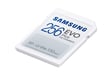 Samsung EVO Plus 256 Go SDXC UHS-I