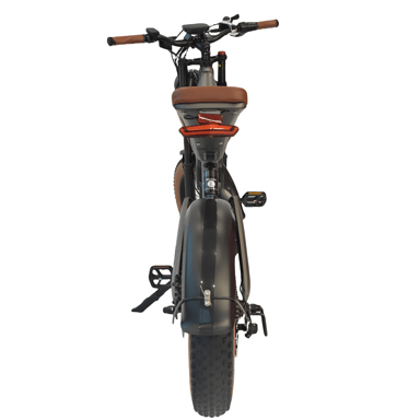 Vélo tout-terrain électrique M20 20 pouces avec batterie 48 V 18,2 Ah
