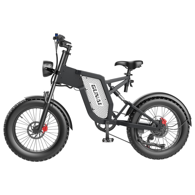 Forcella Fat Bike da 26 pollici 4.0 Forcella ammortizzata for bici da neve elettrica Forcella pneumatica