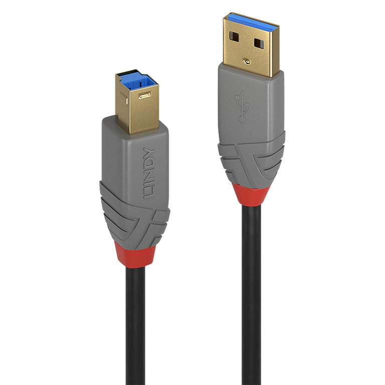 Lindy Câble USB 3.2 AB 5Gbps An 5 mètres
