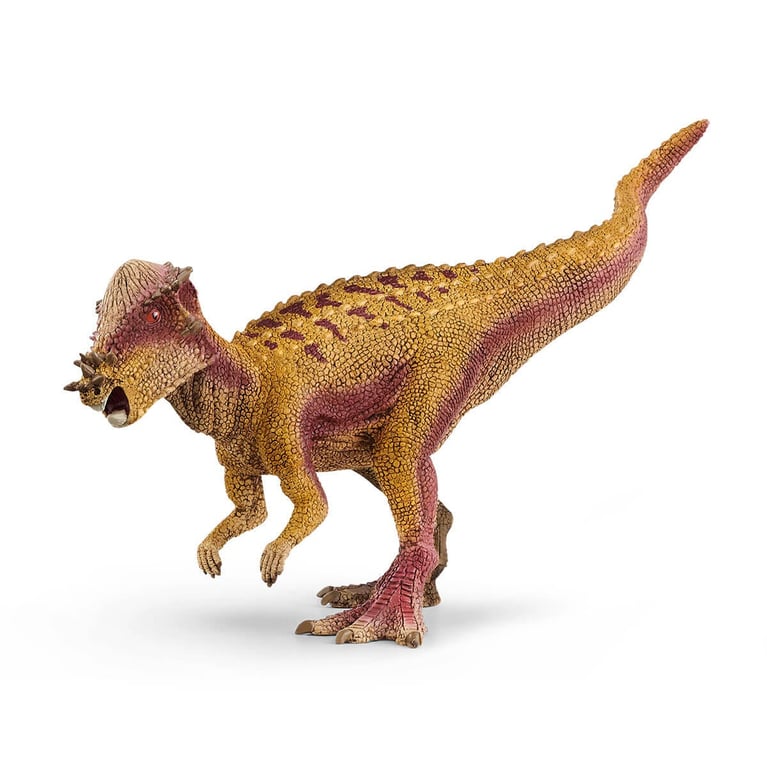 Figurine Pachycéphalosaure Schleich 15025 Dinosaurs Pour Enfant dès - vue 5
