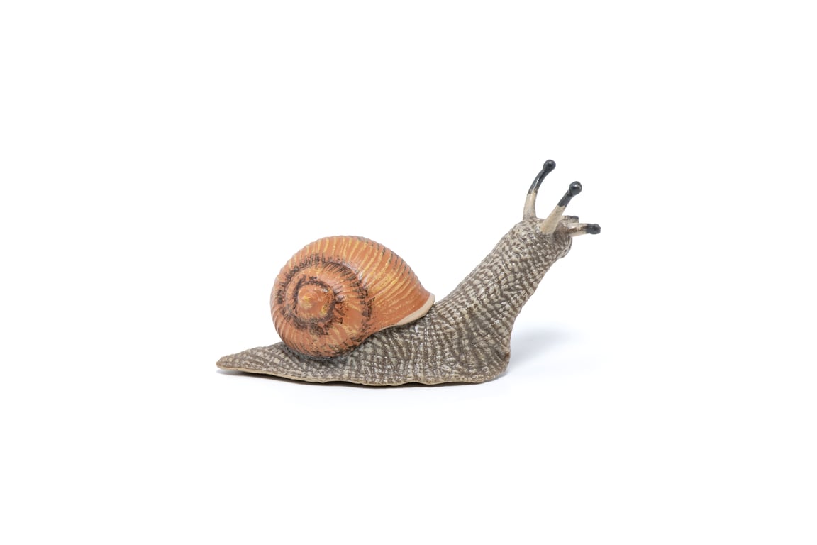 Papo Escargot Neuf
