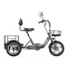 Tricycle cargo électrique Cysum T1 Pro : moteur 250 W, batterie 48 V 22 Ah, pneus 16 x 2,3 pouces
