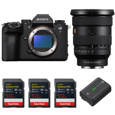 Appareil photo hybride Sony Alpha 1 II + FE 16-35mm f/2.8 GM II + 3 SanDisk 512GB Extreme PRO UHS-II + Sony NP-FZ100 + Ebook ''20 astuces pour des images qui claquent''