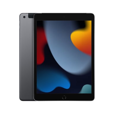 iPad di 9a generazione 10,2'' (2021), 256 GB - Wifi + Cellulare - Grigio Sidel