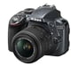 Nikon D3300 + Kit fotocamera reflex AF-S DX NIKKOR 18-55 mm 24,2 MP CMOS 6000 x 4000 pixel Antracite