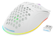 DELTACO GAMING - WHITE LINE WM80 - Mouse ottico da gioco senza fili 4800 DPI, 1000 Hz, ultra leggero, RGB, 7 pulsanti