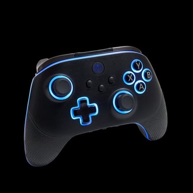PowerA PCGP0382-01 accessoire de jeux vidéo Noir RF/USB Manette de jeu Analogique/Numérique PC