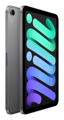Apple iPad mini 8.3 128GB 7th Gen. (2024) 5G space grey DE