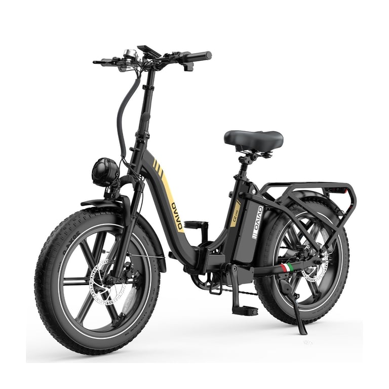 Ovivo Vélo Électrique C2 Pro - Batterie 48V18ah Moteur 250W 20 pouces Noir Freins Hydrauliques Écran LCD