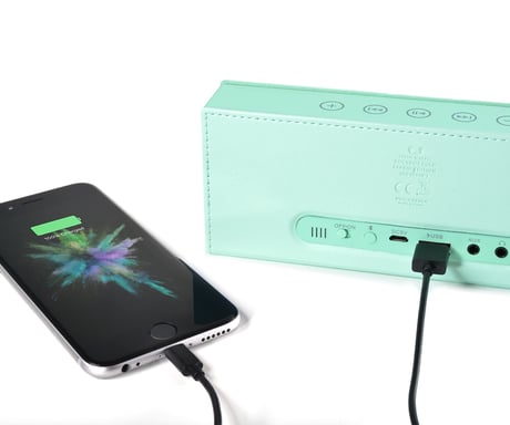 Fresh 'n Rebel Rockbox Brick Fabriq Edition - Peppermint