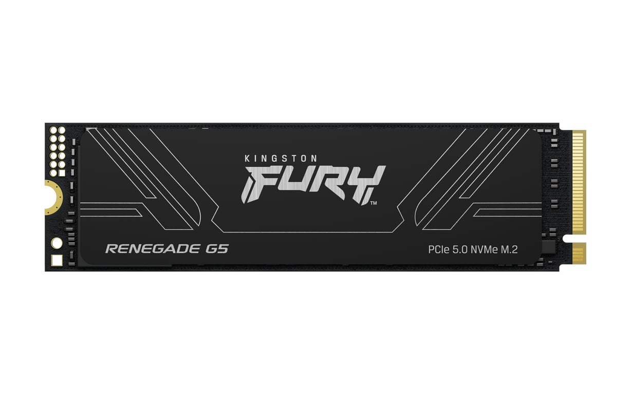 Kingston Fury Renegade G5 PCIe 5.0 NVMe .2 2280 SSD 8T SFYR2D8T1 - vue 4