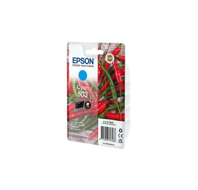 Epson 113 EcoTank 4 colour Multipack - vue 9