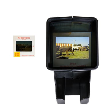 Visualizzatore di diapositive Kodak Viewer