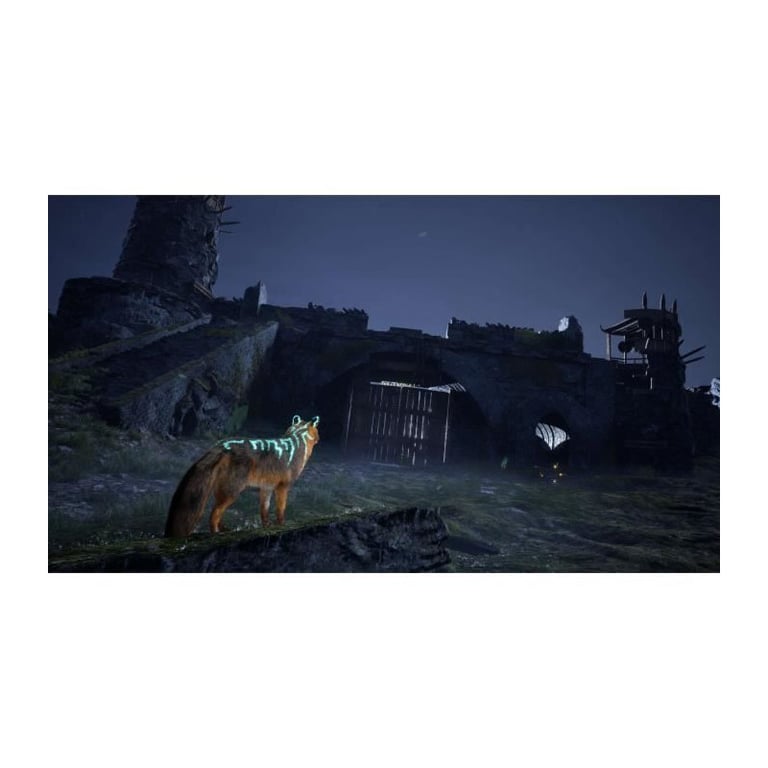 Spirit of the North 2 PS5 - vue 3