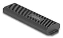 DeLOCK 42031 caja para disco duro externo Caja externa para unidad de estado sólido (SSD) Negro M.2