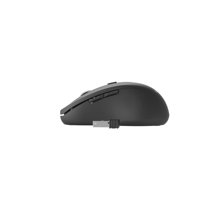 Gembird MUSW 6B 01 Bureau Droitier RF sans fil Optique 1600 DPI Neuf - vue 3