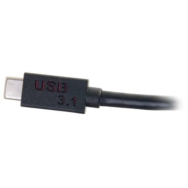 C2G adaptador gráfico USB-C/DisplayPort USB 3840 x 2160 píxeles Negro
