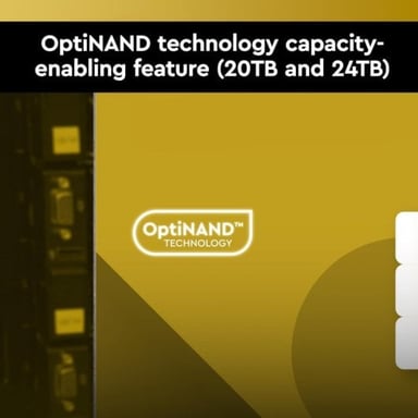 WESTERN DIGITAL HDD Gold 24TB SATA 512MB 3.5'