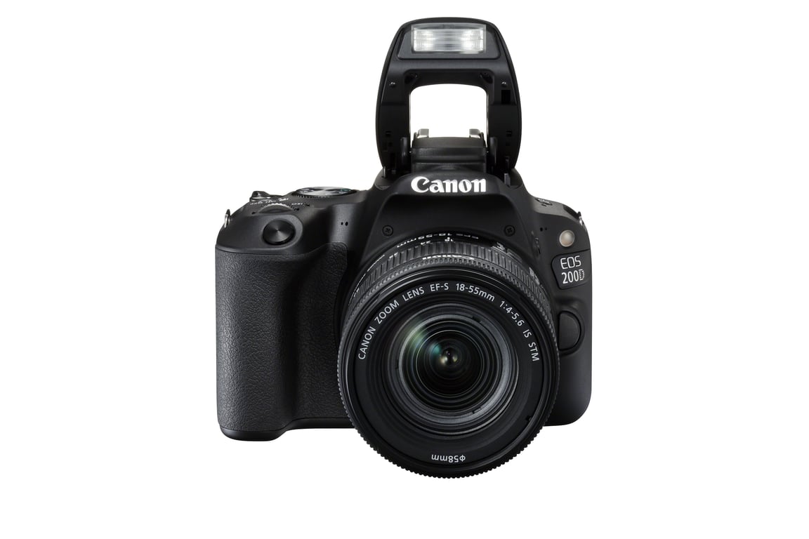 Canon 250D 24MP WiFi Negra + Objetivo EF-S 18-55mm F4-5.6 IS STM