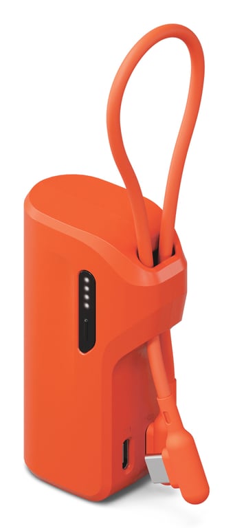 Cygnett CY5358PBCHE banque d'alimentation électrique 5000 mAh Neuf