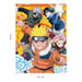 Naruto puzzle 250 piezas - La academia ninja