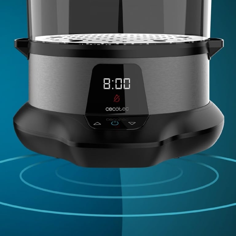 Bateau à vapeur Vapovita 3000 Pro - vue 3