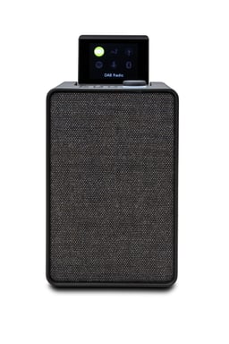 Pure 00-12110-01 altavoz portátil o de fiesta Altavoz monofónico portátil Negro 20 W
