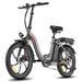 FAFREES F20+ Bicicleta eléctrica batería 36V 20Ah motor 450W neumáticos 20 pulgadas bicicleta eléctrica plegable