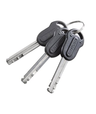 Kryptonite Evolution Mini-5 Noir Verrou en U