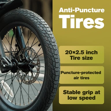 Tricycle électrique FAFREES F20 Mate II, batterie 48 V 21 Ah, freins à disque hydrauliques, paniers avant et arrière - Vert