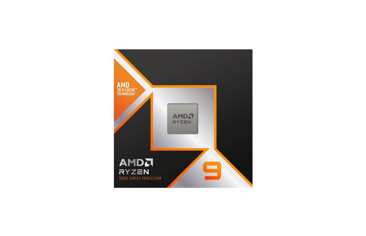 AMD Ryzen 9 9900X3D 4.4 GHz / 5.5 GHz - vue 5