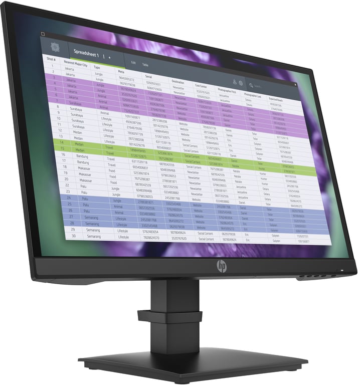 HP MNTR P22 G4 - vue 4