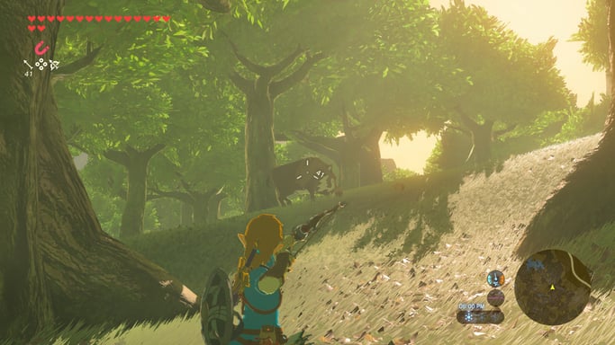 The Legend of Zelda : Breath of the Wild (Switch 2)