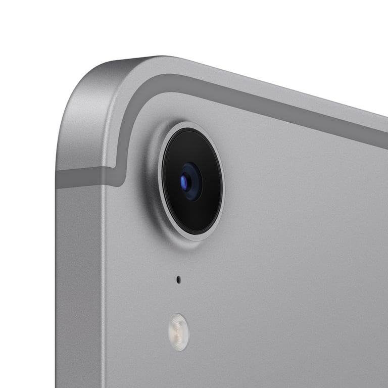 iPad mini 7 (8,3') 5G 256 Go, Gris sidéral - Neuf