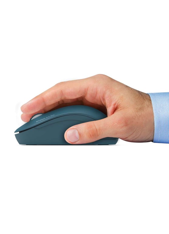 PORT Connect Collection II - vue 8