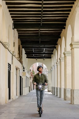 Ninebot by Segway KickScooter F2 Pro E 25 km/h Noir