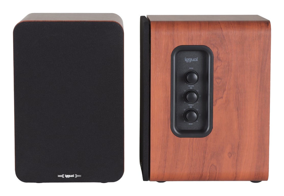 Haut-Parleur Iggual IGG319963 – Bois Avec Filaire & Sans Fil 50 W - vue 3
