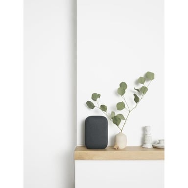 Assistant vocal Google Nest Audio Charbon