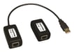 Tripp Lite B202-150 rallonge de console Émetteur et récepteur de console