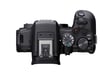 Canon EOS R10+ EF- R Cuerpo MILC 24,2 MP CMOS 6000 x 4000 Pixeles Negro