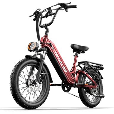 Bici elettrica Tifgalop XC20 per adulti, motore 70NM 250W, batteria 48V 20AH