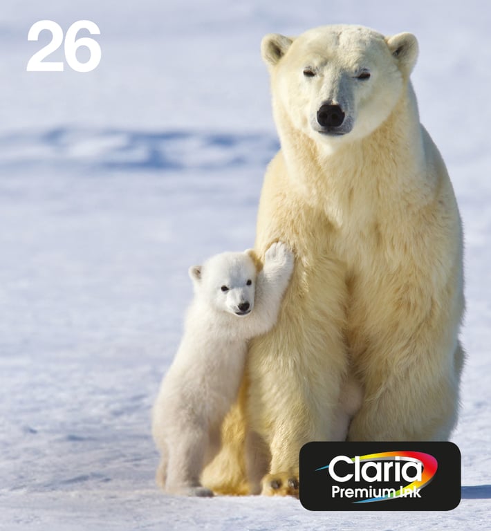Epson Polar bear Multipack - vue 5