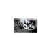 Lave-linge top AEG L53266AL 6 kg 1200 tr/min Classe A Blanc