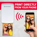 AGFA PHOTO Mini P.2 - Stampante fotografica istantanea Zink portatile - Stampa facile e veloce - Stampante fotografica portatile senza inchiostro da 75 x 50 mm per smartphone e tablet - Bianco